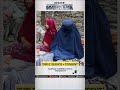 Afghanistan's New Family Law | Inside South Asia | WION SHORTS