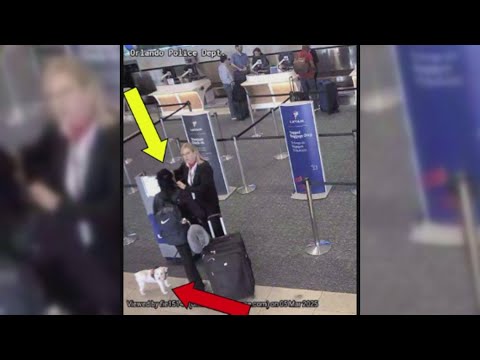 Woman kills dog in airport bathroom after denied boarding with the ...