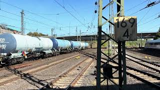 IMG 4018