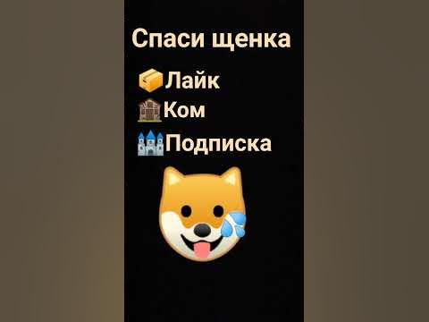 спаси щенка - YouTube