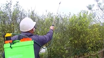 Thuốc bảo vệ thực vật và nguy cơ nhiễm độc cho người nông dân