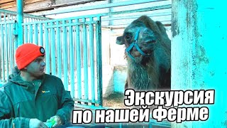 Экскурсия по нашему Ранчо на Урале/ Один день из жизни фермера/ КФХ Идиятуллин