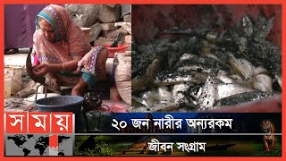 ছোটমাছ নিয়ে আতঙ্ক নেই রংপুরের গৃহবধূদের | Rangpur News | Self Reliant Women | Somoy TV