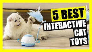 TOP 5: Best Interactive Cat Toy to Keep Your Kitty Busy | Indoor Cats, Pet Exercise, 360° Rotating