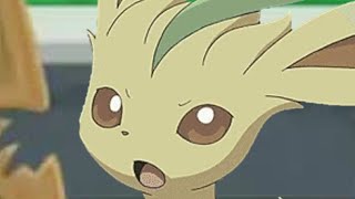 Aqua Teen Eevee Force 20 Bucks, 20 Minutes