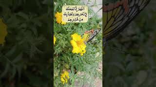 Dushman Ke Liye Doa Kaiku21920