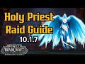 Holy priest raid guide 1017