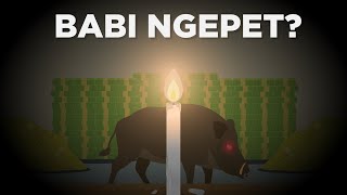 Benarkah Babi Ngepet Bisa Mencuri Uang?