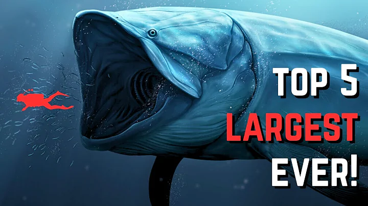Top 5 Largest Ocean Predators in Prehistory