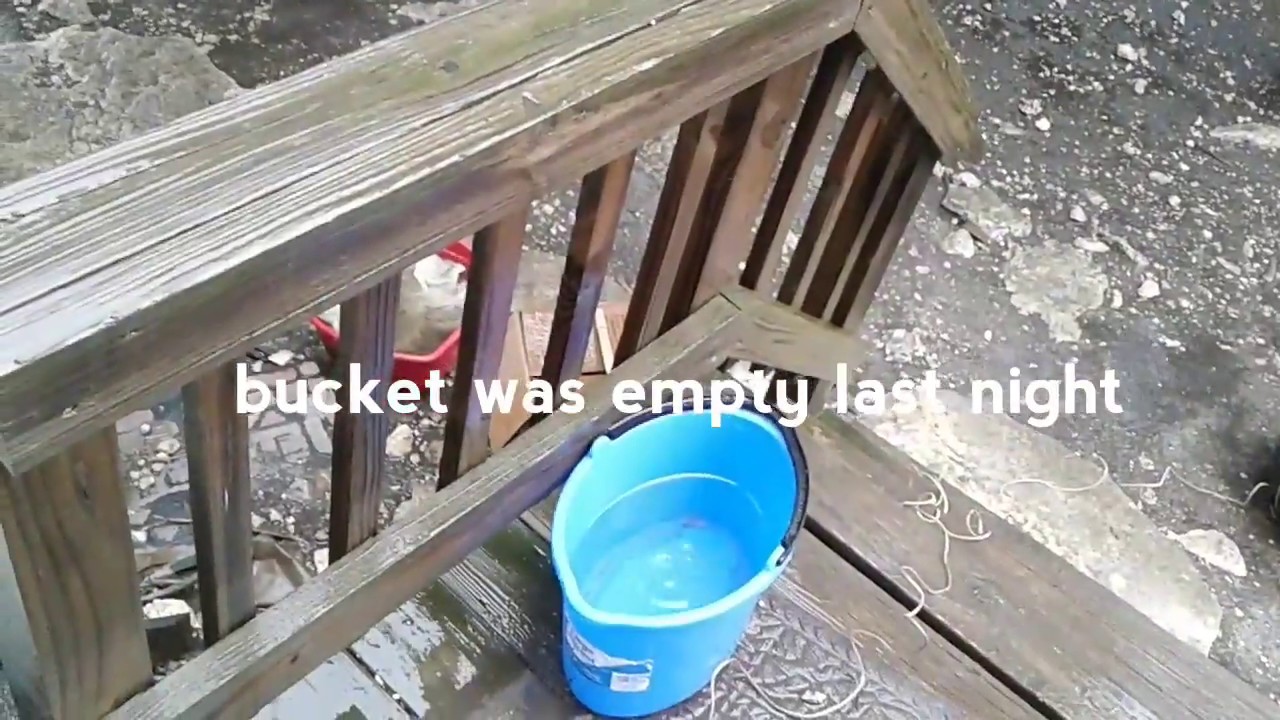 homesteading in oregon Crazy Winter Storm in October