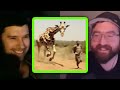 What's The Biggest Animal You Could 1v1?
