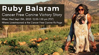 Ruby Balaram Cancer Free Canine Victory Story