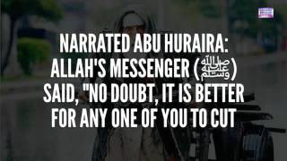 Daily Hadith 285