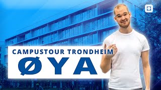 Campustour Øya | Trondheim | NTNU