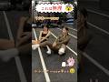 カズハの腹筋がヤバい! #LE_SSERAFIM #Shorts