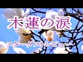 木蘭の涙 /スターダストレビュー  Full 【歌詞】Mokuren No Namida