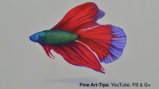 ⁣How to Draw a Beta Fish With Color Pencils and Markers