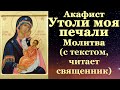 Акафист иконе Утоли моя печали Пресвятой Богородицы, с текстом, слушать, читает священник, молитва