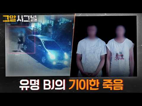 유명 BJ의 기이한 죽음 | 시그널