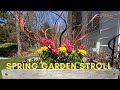 A stroll around the spring garden  april 20 2024