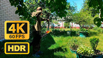 4K 60FPS HDR Test Video for YouTube (CS: Rec.2020, Gamma: Rec.2100 ST2084 PQ Transfer, H265 Main10)