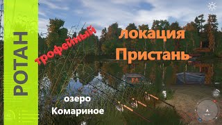 Русская рыбалка 4 - озеро Комариное - Ротан трофейный и ершики у лодок