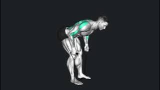 How to Bent Over Row Band, 3d animation, gif