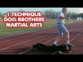 Passer  lextrieur par marc denny des dog brothers martial arts