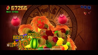 Fruit Ninja Classic Mode World Record: 67,266 Score (Game Crashed at the End) screenshot 4