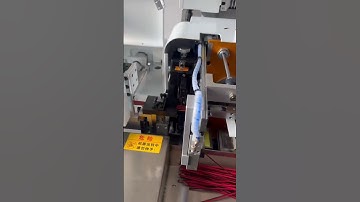 Automatic Twin Cable Cut Strip Linear Feeding One-end Tin One-end Crimp #wireharness #machine #fyp