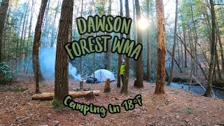 WILDCAT CAMPGROUND | Dawsonville GA | NORTH GEORGIA CAMPING