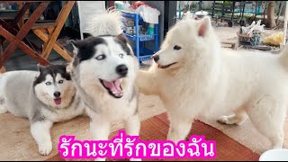 รักนะที่รักของฉัน | ข้าวเหนียว ขี้กระโปกหมา