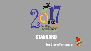 2017 AKC National Agility Championship: Ring 5 - Standard (20)