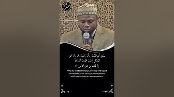 تلاوه من سورة لقمان القارئ عكاشة كميني برواية خلف عن حمزة