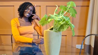 House Tour of My 2 Bedroom Luxury Villa in #Kampala Uganda