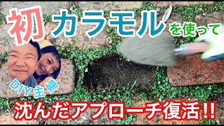 【DIY主婦】初カラモルを使って沈んだアプローチ復活