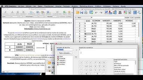 Tutorial Interacción entre variables