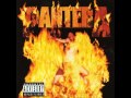 Pantera - We'll Grind That Axe For A Long Time