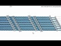 Ayudantía BioCel: El citoesqueleto 3/3 (Filamentos intermedios)