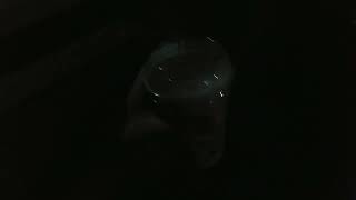 Culver s Reese s Review