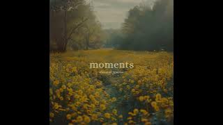 Olexandr ignatov - Moments