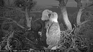 April 27, Jackie and Shadow together FOBBV CAMBig Bear Bald Eagle Live Nest Cam 1 / Wide View Cam 2