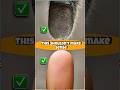 koala fingerprints are basically ours.