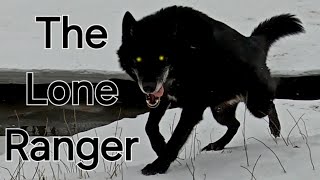 The Lone Ranger - Charlie Farley by 1st508th Airborne 584 views 2 weeks ago 2 minutes, 53 seconds