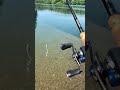 Fishing #lurefishing