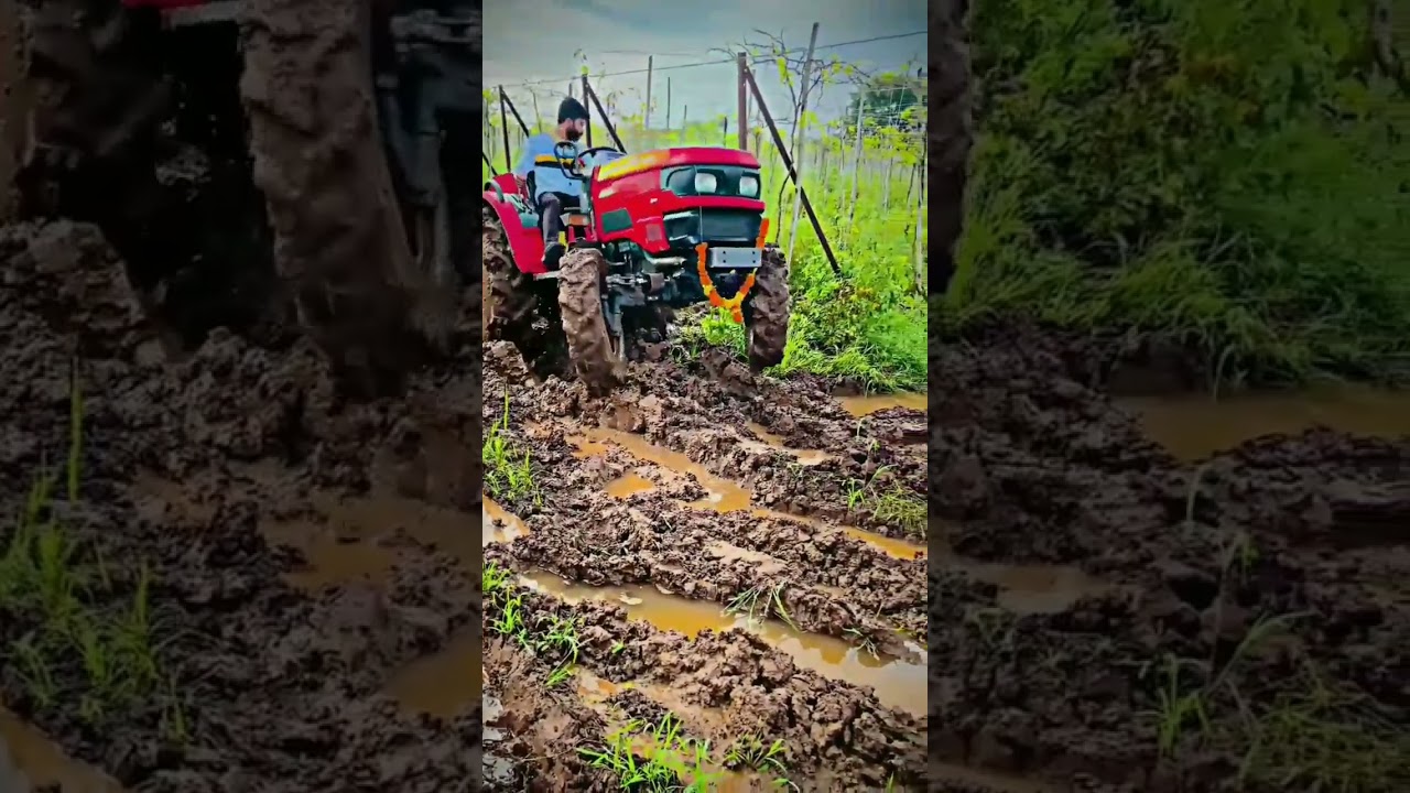 mahindra jivo 365 tractor