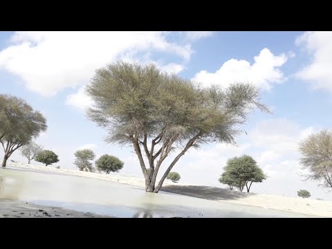 Khair Jan Baqri New Vedio HD Song Jambaran Basta Soeli Imbari Gwadare Hor