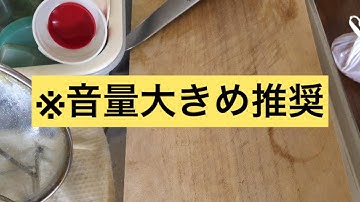 予告通りオムライスを作りました