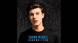 Shawn Mendes | Stitches - FluX Force Remix