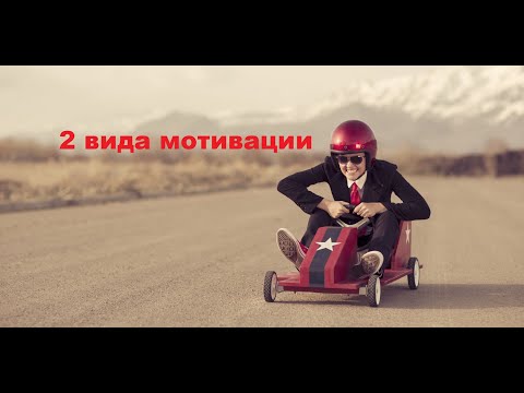Главные виды мотивации
